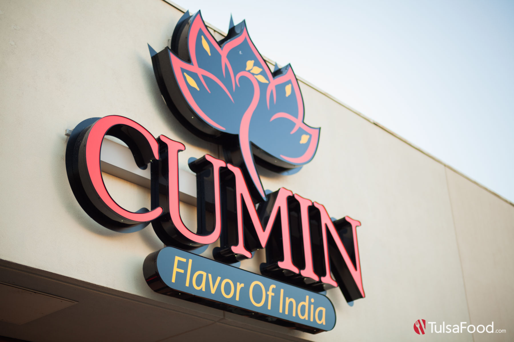 Cumin Indian Food in Tulsa Tulsa Food