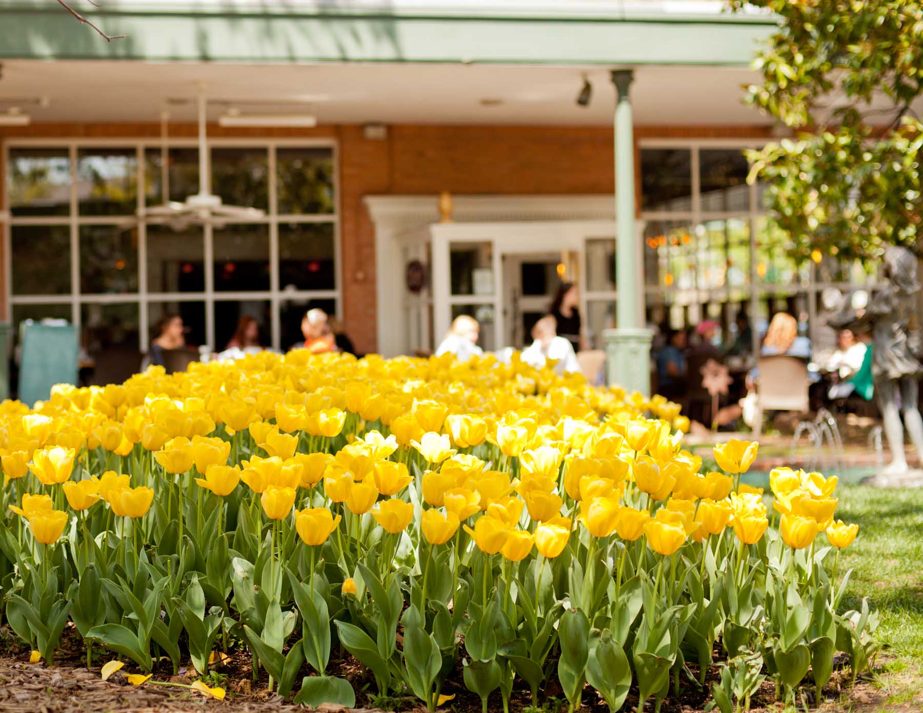 Best Tulsa Outdoor Patio Dining & Restaruants Around Town